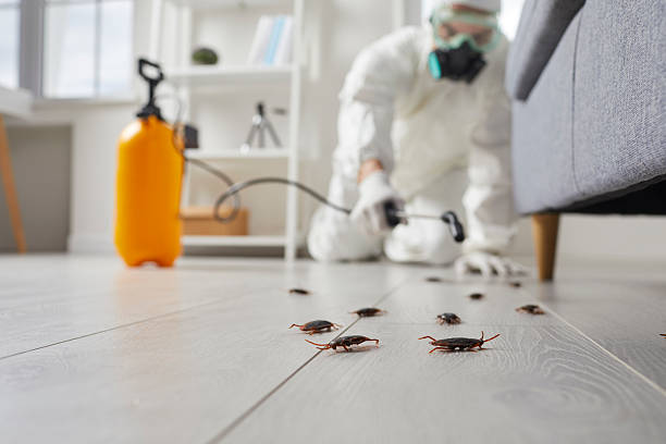 Post-Treatment Bed Bug Interceptor Monitoring in Pearl