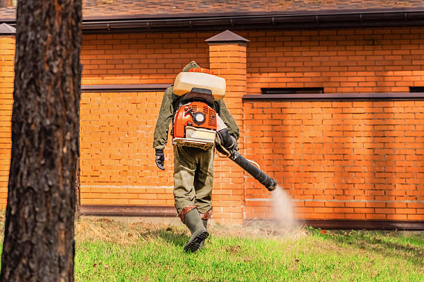 Bed Bug Clearance Verification and Documentation in Pearl